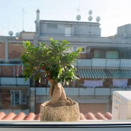 Letto E Latte Nocleg ze śniadaniem 4*